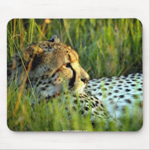 Wilde mooie dieren 112 muismat