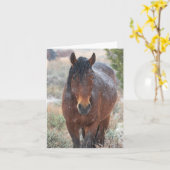 Wilde mosterd in de sneeuw kaart (Gele Bloem)