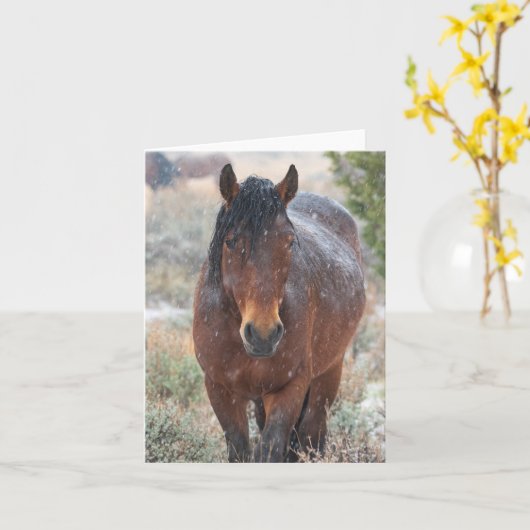 Wilde mosterd in de sneeuw kaart (Gele Bloem)