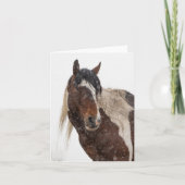 Wilde mosterd in de sneeuwkaart kaart (Voorkant)