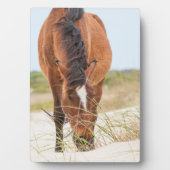 Wilde mosterdpaarden of bankerpaarden fotoplaat (voorkant)