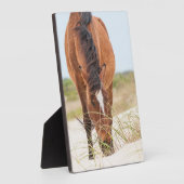 Wilde mosterdpaarden of bankerpaarden fotoplaat (Zijkant)