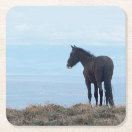 Wilde Mustang Kartonnen Onderzetters