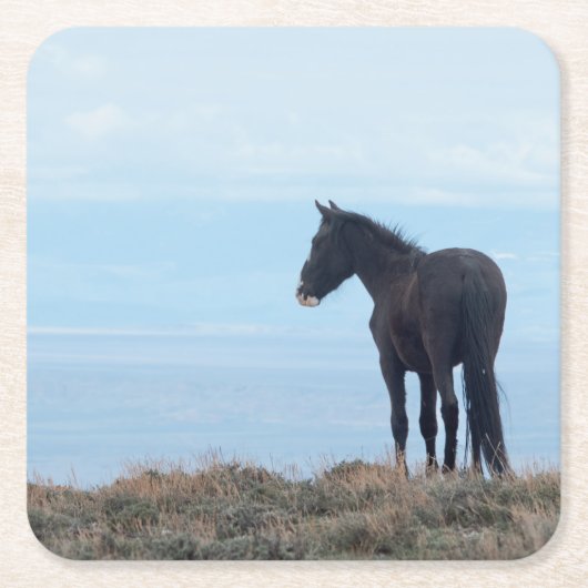 Wilde Mustang Kartonnen Onderzetters (Voorkant)
