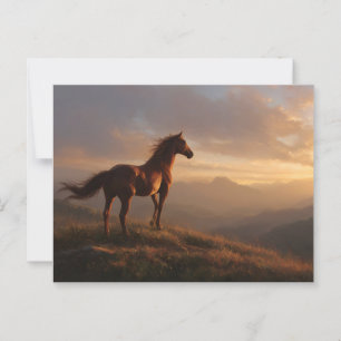 Wilde Mustang kijkt naar de zonsondergang Briefkaart