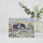 Wilde Mustang Merrie en Veulen Briefkaart (Staand voorkant)