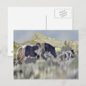 Wilde Mustang Merrie en Veulen Briefkaart (Voorkant / Achterkant)