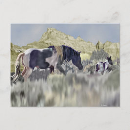 Wilde Mustang Merrie en Veulen Briefkaart