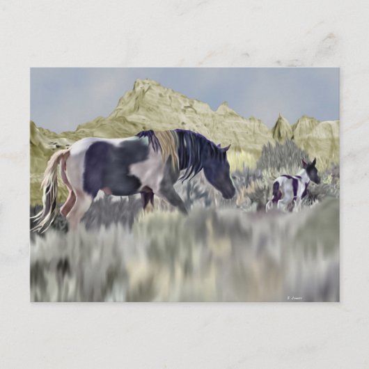Wilde Mustang Merrie en Veulen Briefkaart (Voorkant)