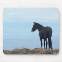 Wilde Mustang