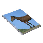 Wilde Mustang Paard Notitieboek (Rechterzijde)