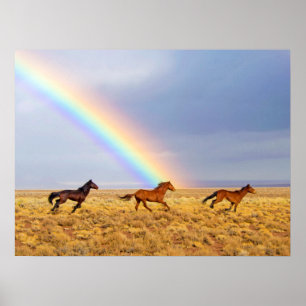 Wilde Mustang Paarden die lopen en Regenboog Poster