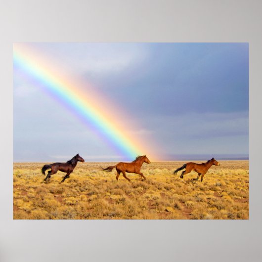 Wilde Mustang Paarden die lopen en Regenboog Poster (Voorkant)