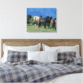 Wilde Mustang-paarden in de bergen Canvas Afdruk (Insitu (Slaapkamer))