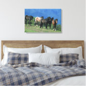 Wilde Mustang-paarden in de bergen Canvas Afdruk (Insitu (Slaapkamer))
