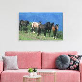 Wilde Mustang-paarden in de bergen Canvas Afdruk (Insitu (Woonkamer))