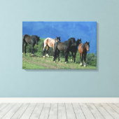 Wilde Mustang-paarden in de bergen Canvas Afdruk (Insitu (Houten vloer))