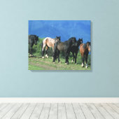Wilde Mustang-paarden in de bergen Canvas Afdruk (Insitu (Houten vloer))