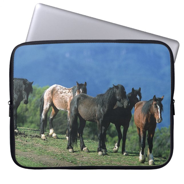 Wilde Mustang-paarden in de bergen Laptop Sleeve (Voorkant)