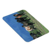 Wilde Mustang-paarden in de bergen Magneet (Rechterzijde)