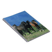 Wilde Mustang-paarden in de bergen Notitieboek (Rechterzijde)