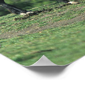 Wilde Mustang-paarden in de bergen Poster (Hoek)