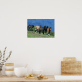 Wilde Mustang-paarden in de bergen Poster (Keuken)