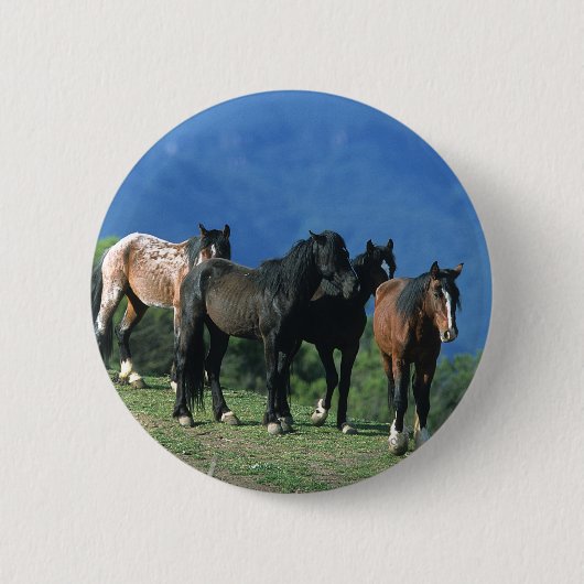 Wilde Mustang-paarden in de bergen Ronde Button 5,7 Cm (Voorkant)