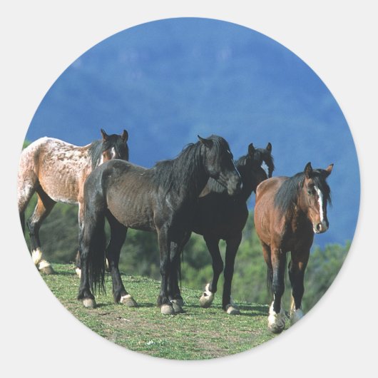 Wilde Mustang-paarden in de bergen Ronde Sticker (Voorkant)