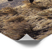 Wilde Mustang-paarden in de woestijn 1 Poster (Hoek)