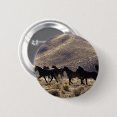 Wilde Mustang-paarden in de woestijn 1 Ronde Button 5,7 Cm (Voorkant /achterkant)