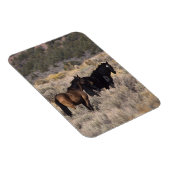 Wilde Mustang-paarden in de woestijn 2 Magneet (Rechterzijde)