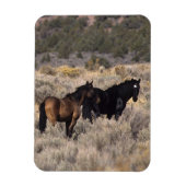 Wilde Mustang-paarden in de woestijn 2 Magneet (Verticaal)