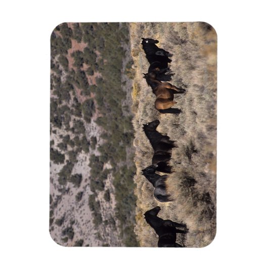 Wilde Mustang-paarden in de woestijn 2 Magneet (Verticaal)