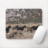 Wilde Mustang-paarden in de woestijn 2 Muismat (Met muis)