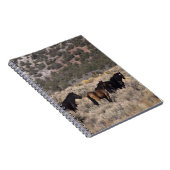 Wilde Mustang-paarden in de woestijn 2 Notitieboek (Rechterzijde)