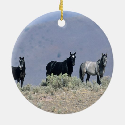 Wilde Mustang-paarden in de woestijn 3 Keramisch Ornament (Achterkant)