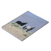 Wilde Mustang-paarden in de woestijn 3 Notitieboek (Linkerzijde)