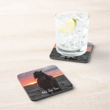 Wilde Mustang Paarden in de zon