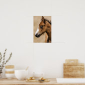 Wilde Mustang Veulen- Apollo Poster (Keuken)