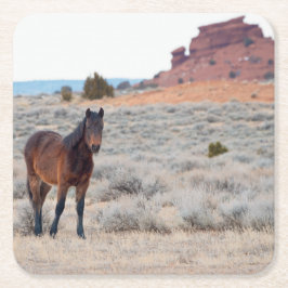Wilde Mustang Veulen Kartonnen Onderzetters