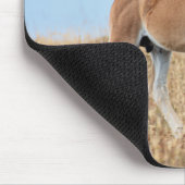 Wilde Mustang Veulen  Muismat (Hoek)