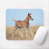 Wilde Mustang Veulen  Muismat (Met muis)