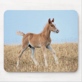 Wilde Mustang Veulen  Muismat