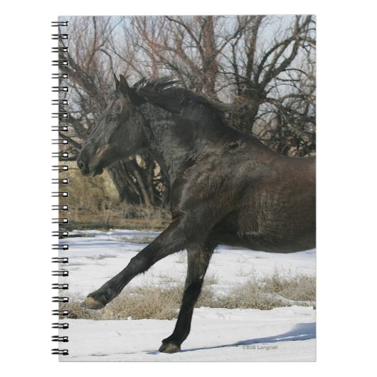 Wilde Mustangpaard in de Sneeuw 2 Notitieboek (Voorkant)