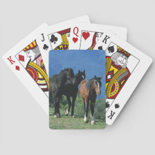Wilde mustangpaarden in de bergen pokerkaarten