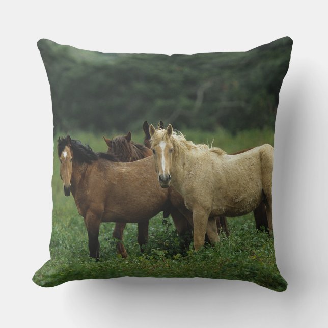 Wilde Mustangs 4 Kussen (Voorkant)
