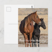 Wilde Mustangs Forever Briefkaart (Voorkant / Achterkant)