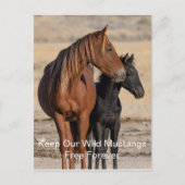 Wilde Mustangs Forever Briefkaart (Voorkant)