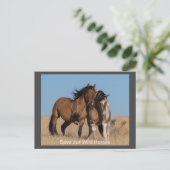 Wilde Mustangs Forever Briefkaart (Staand voorkant)